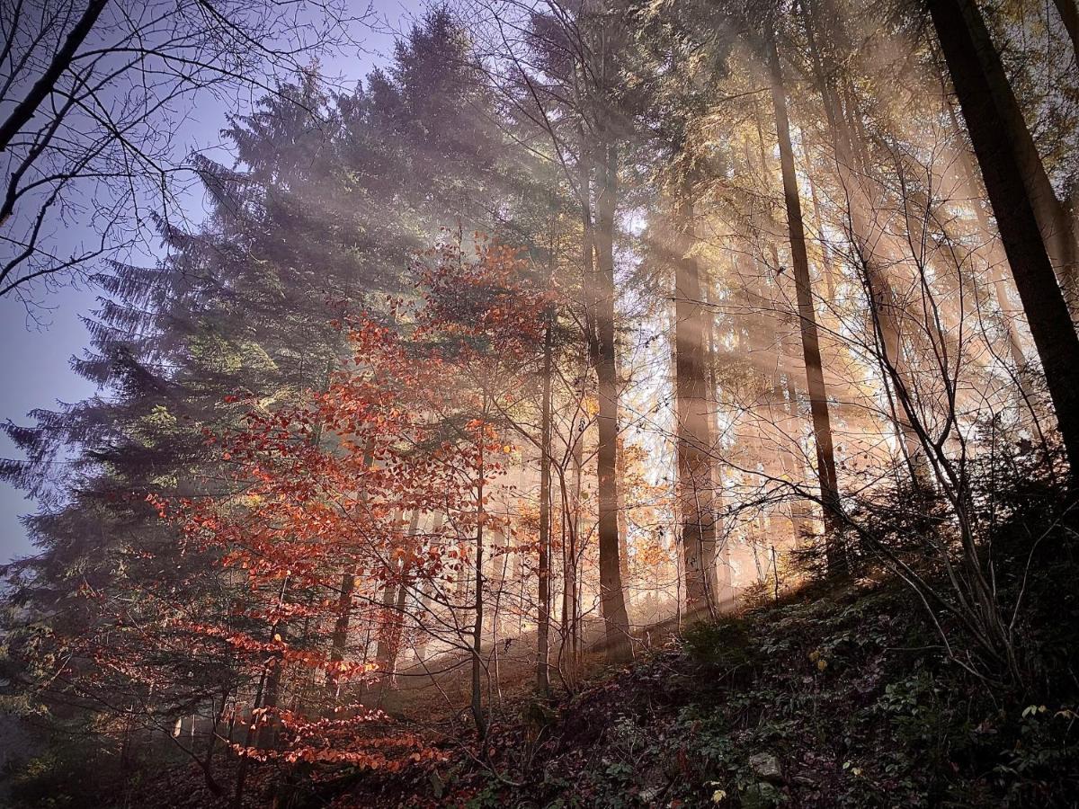 Domki Z Prywatna Sauna- Na Szlaku Milowka Bagian luar foto