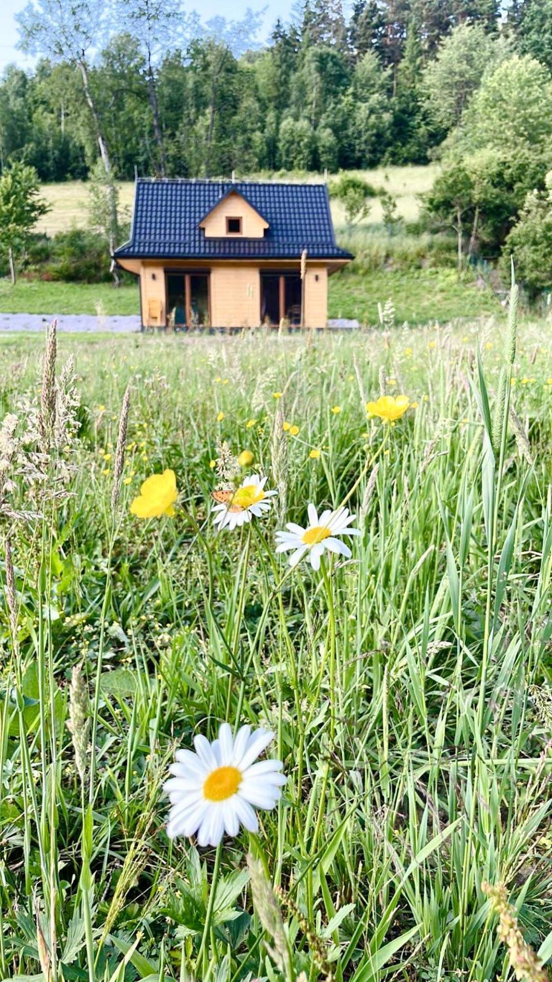 Domki Z Prywatna Sauna- Na Szlaku Milowka Bagian luar foto